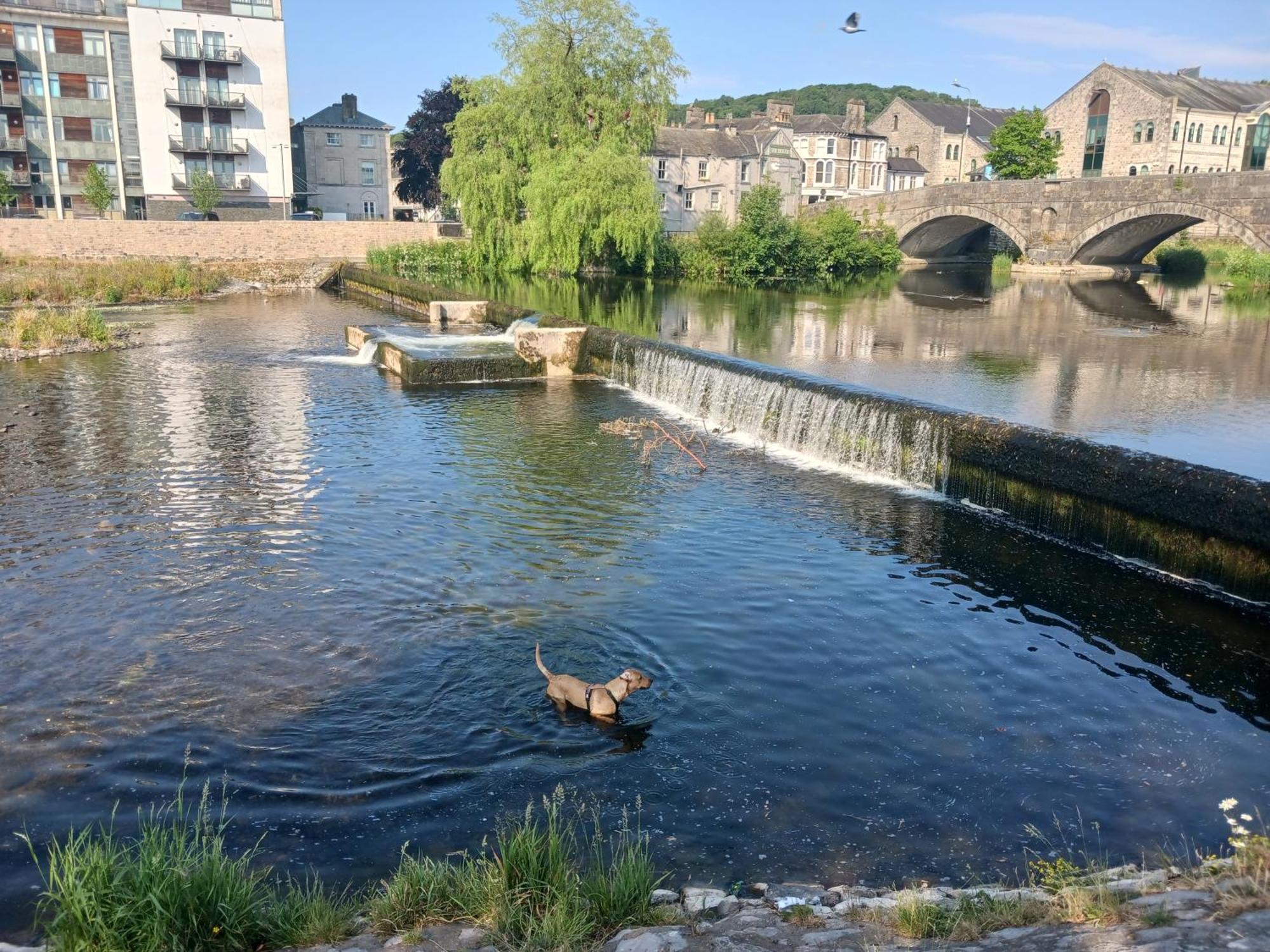 Arthurs Cottage -Charming Courtyard Cottage In The Heart Of Kendal, The Lake District Luaran gambar